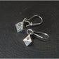 D8- Pendientes gancho Plata