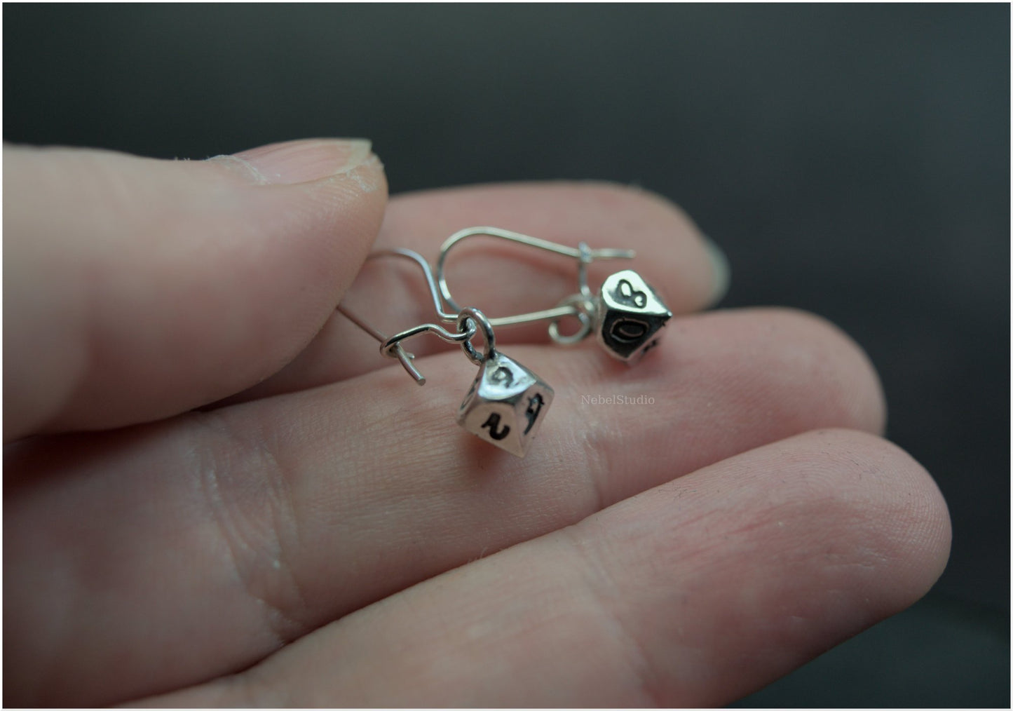 D10- Silver hook earrings