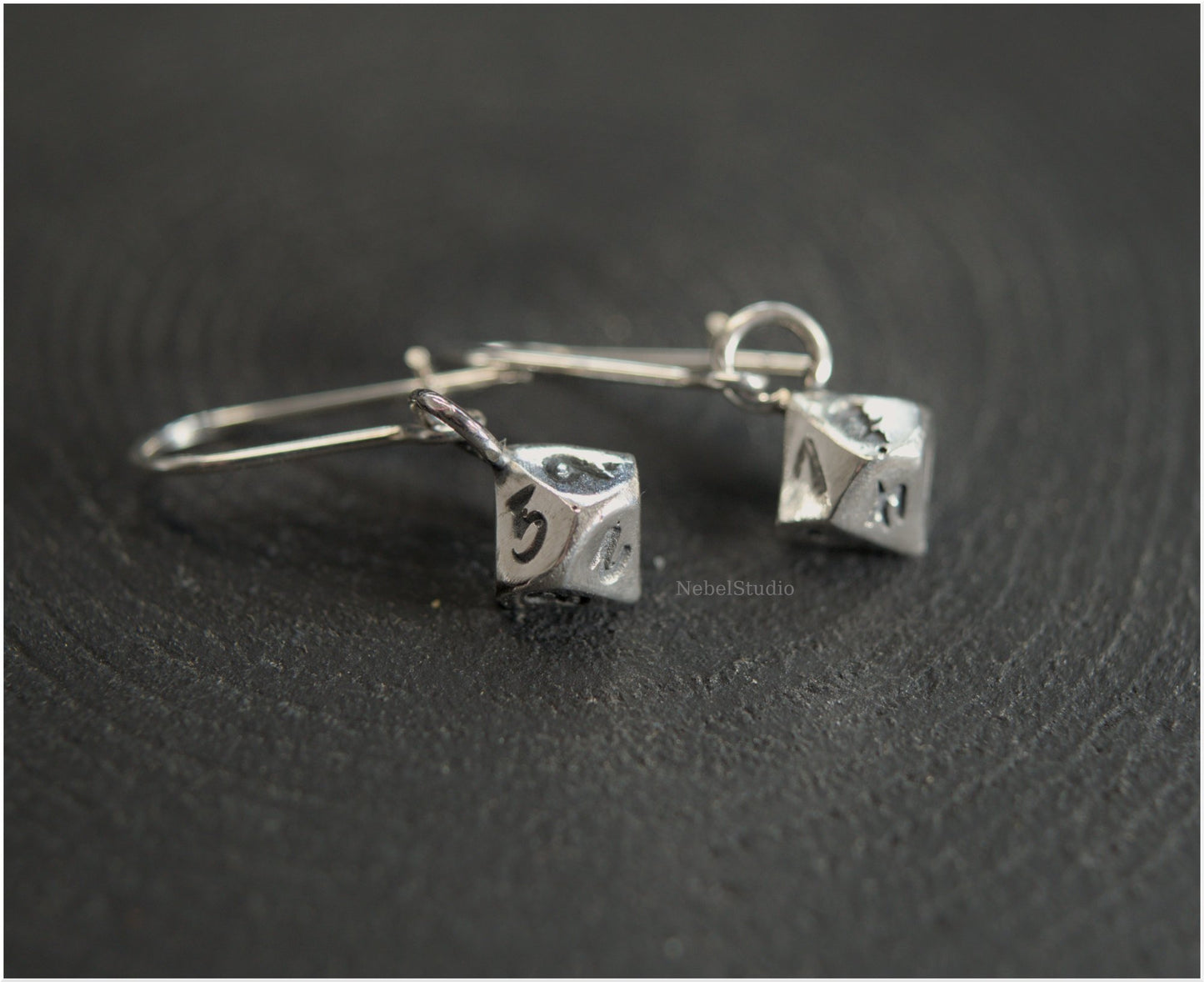 D10- Silver hook earrings